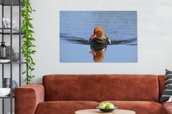 Un canard à crête rouge nage dans une toile de lac bleu 140x90 cm - Tirage photo sur toile (Décoration murale salon / chambre)