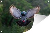 Tuinposter - Tuindoek - Tuinposters buiten - Een vliegende duif tussen de groene bomen - 120x80 cm - Tuin