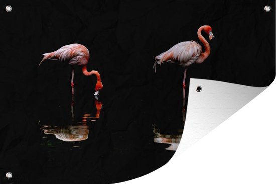 Twee flamingo's staan in het water - Tuinposter