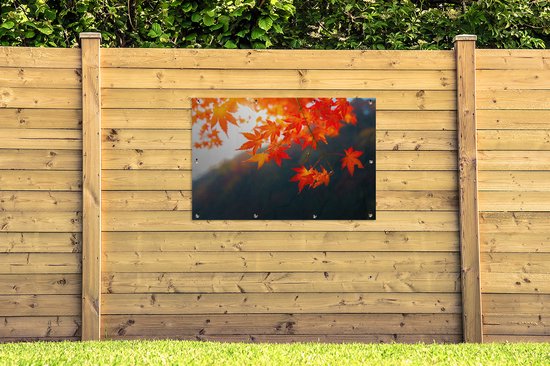 Affiche de jardin Feuilles d'automne au Japon - 120x80 cm - Jardin