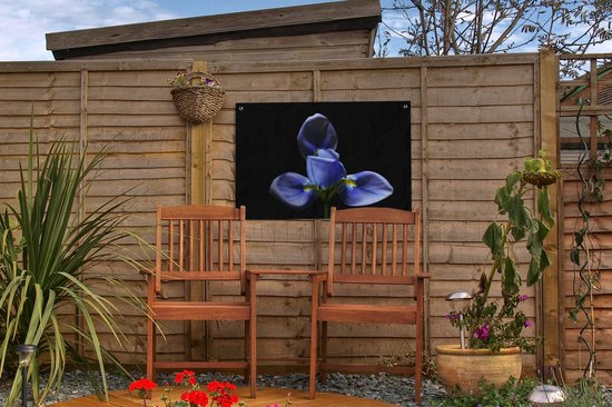 Décoration de jardin Iris pour fond noir - 60x40 cm - Affiche de jardin - Toile de jardin