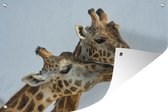 Tuindecoratie Giraffes - Dieren - Lucht - 60x40 cm - Tuinposter - Tuindoek - Buitenposter