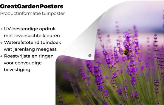 Affiche de jardin Lavande (2) - Lavande avec toile en vrac 120x80 cm avec l'affiche de jardin - Toile de jardin / Toile d'extérieur / Peintures pour l'extérieur (décoration de jardin)
