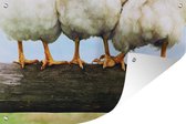 Tuinposter - Tuindoek - Tuinposters buiten - Foto kippenpoten afdruk - 120x80 cm - Tuin