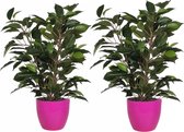 2x stuks groene ficus kunstplant 40 cm met plantenpot fuchsia roze D13.5 en H12.5 cm