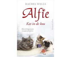 Alfie - Kat in de kou