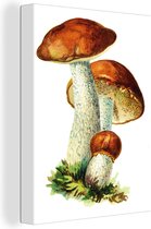 Peinture sur toile Champignons - Illustration - Rouge - Wit - 30x40 cm - Décoration murale