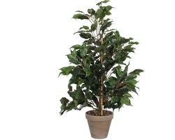 Mica Decorations Ficus Exotica Kunstplant in Bloempot Stan - H60 x Ø35 cm - Groen