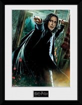 HARRY POTTER - Collector Print '30x40cm'