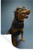 Novomoskovskdagi yigit bilan jinsiy aloqa