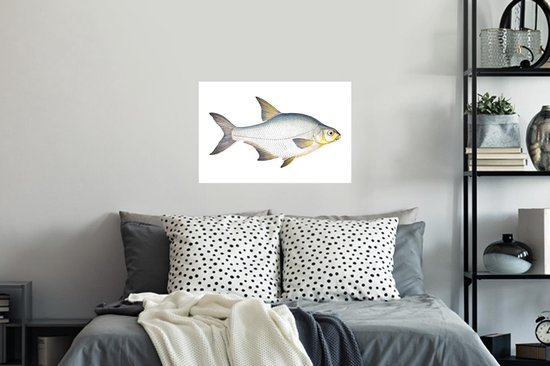 Stickers Stickers muraux - Poisson - Kolblei - Réalisme - 60x40 cm - Feuille adhésive