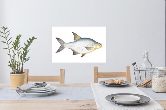 Stickers Stickers muraux - Poisson - Kolblei - Réalisme - 60x40 cm - Feuille adhésive