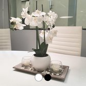 Kunstmatige orchidee met keramische vaas H53cm