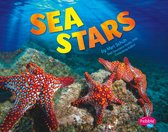 Sea Life - Sea Stars