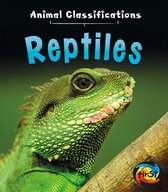 Animal Classifications - Reptiles
