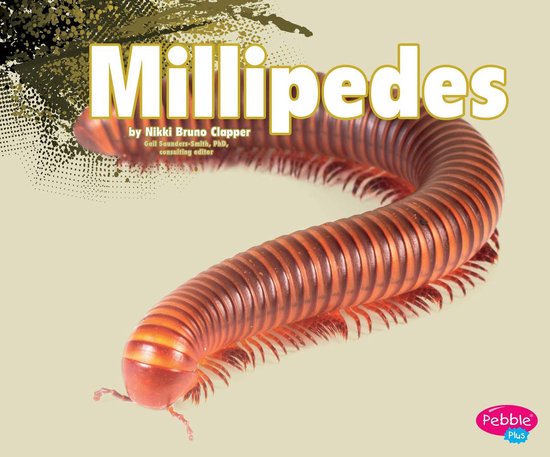 Foto: Creepy crawlers millipedes