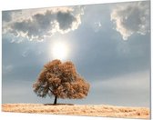 Wandpaneel Boom op platte land  | 120 x 80  CM | Zilver frame | Wandgeschroefd (19 mm)