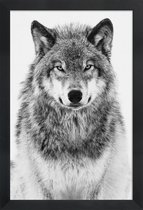 JUNIQE - Poster in houten lijst Winterwolf -40x60 /Grijs