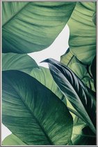 JUNIQE - Poster met kunststof lijst Light Shines Through -30x45 /Groen