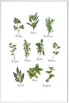 JUNIQE - Poster met kunststof lijst Herbs Collection -13x18 /Groen &