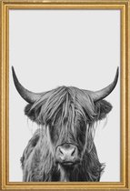 JUNIQE - Poster met houten lijst Highland Cow Classic -13x18 /Wit &