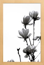 JUNIQE - Poster in houten lijst Aquarel zwarte magnolia -30x45 /Wit &