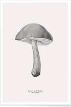 JUNIQE - Poster Bolete Mushroom -20x30 /Grijs & Ivoor