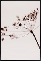 JUNIQE - Poster met kunststof lijst Dried Flowers Anetum 1 -13x18