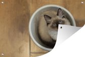 Muurdecoratie Een Ragdoll kat in een plastic emmer - 180x120 cm - Tuinposter - Tuindoek - Buitenposter