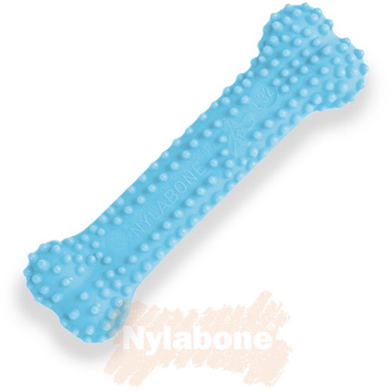 Blauw botje met nopjes van Nylabone