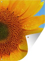 Tuinschilderij Close-up van een zonnebloem - 60x80 cm - Tuinposter - Tuindoek - Buitenposter
