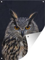 Eagle Owl Portrait Garden poster 40x60 cm - small - Toile de jardin / Toile d'extérieur / Peintures d'extérieur (décoration de jardin)