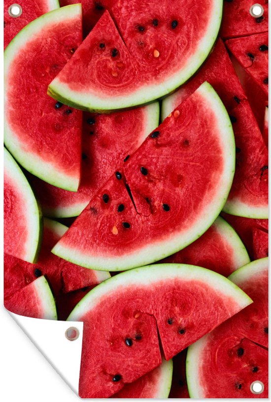 Affiche de jardin Pastèques - Affiche de jardin en pâte de pastèque toile en vrac 80x120 cm - Toile de jardin / Toile d'extérieur / Peintures pour l'extérieur (décoration de jardin)