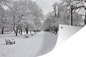 Tuinposter - Tuindoek - Tuinposters buiten - Park in New York tijdens de winter - 120x80 cm - Tuin