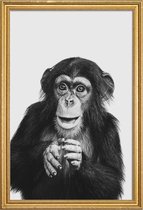 JUNIQE - Poster met houten lijst Chimpanzee II -60x90 /Grijs & Zwart