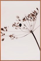 JUNIQE - Poster met kunststof lijst Dried Flowers Anetum 1 -20x30