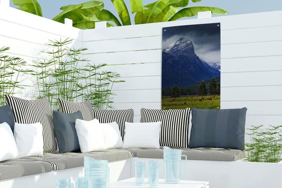 Meadow in Mount Aspiring National Park in New Zealand Garden poster 40x60 cm - small - Toile de jardin / Toile d'extérieur / Peintures pour l'extérieur (décoration de jardin)