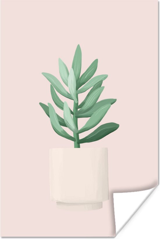 Illustratie van een vetplant met grijsgroene bladeren op een roze achtergrond 20x30 cm - klein - Foto print op Poster (wanddecoratie woonkamer / slaapkamer)