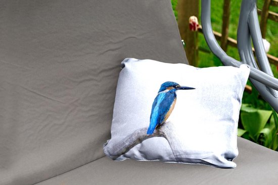 Coussins d'extérieur - Jardin - martin-pêcheur devant fond blanc - 50x30 cm
