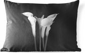 Sierkussen Planten op een zwarte achtergrond voor buiten - Een close up van calla lily-bloemen op een zwarte achtergrond - 60x40 cm - rechthoekig weerbestendig tuinkussen / tuinmeubelkussen van polyester