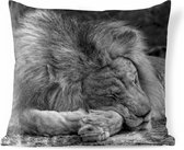 Buitenkussens - Tuin - Slapende leeuw - 60x60 cm