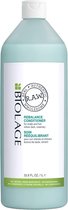 Matrix - Biolage R.A.W. - Scalp Care - Anti-Dandruff - Conditioner - 1000 ml