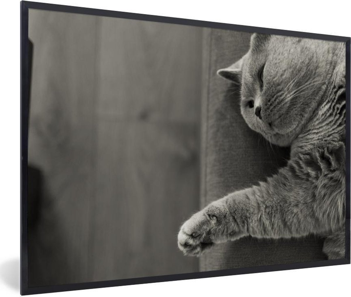 Poster met lijst Katten in zwart wit Kat die op de bank ligt