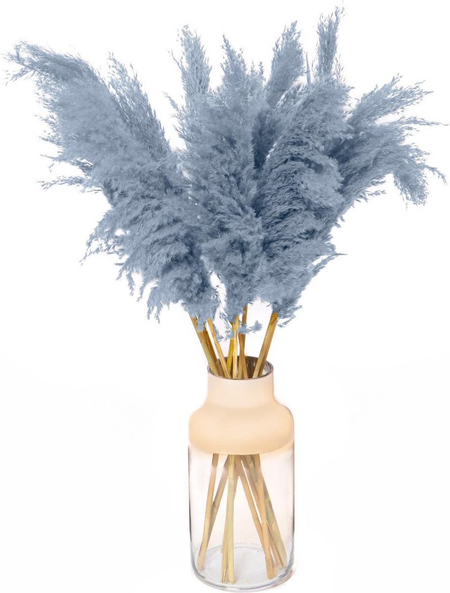 Pampas Pluimen - Droogbloemen - 5 stuks - Zacht Blauw - Pampas Gras - Fluffy Pluimen - 90cm