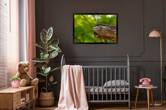 Photo encadrée - Petit hibou brahmane en tronc d'arbre creux cadre photo noir sans passe partout 90x60 cm - Affiche encadrée (Décoration murale salon / chambre)