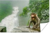 Poster Schreeuwende aap voor waterval - 120x80 cm