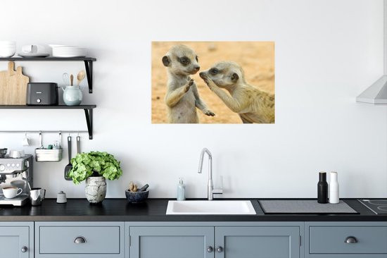 Papier d'affiche de deux suricates