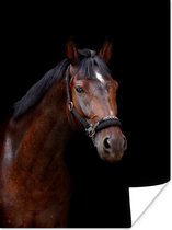 Trakehner paard poster papier 60x80 cm - Foto print op Poster (wanddecoratie woonkamer / slaapkamer) / Boerderijdieren Poster