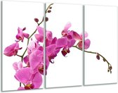 GroepArt - Schilderij -  Orchidee - Roze, Wit - 120x80cm 3Luik - 6000+ Schilderijen 0p Canvas Art Collectie