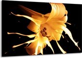 Peinture sur toile Fleur | Orange, jaune, noir | 140x90cm 1 Liège
